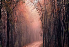 U22国足名单公布 山东球队十人榜上有名.