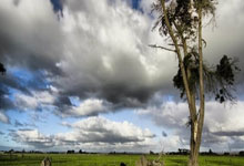 U22国足名单公布 山东球队十人榜上有名.